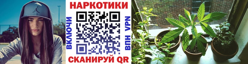 Как найти закладки Камбарка APVP ГАШ АМФ Кокаин