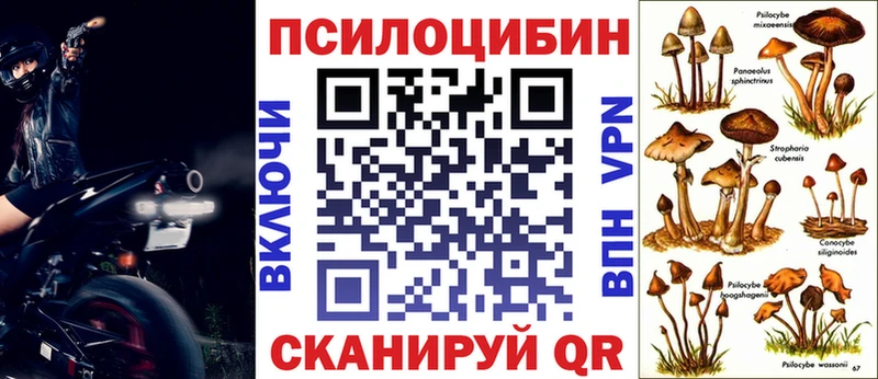 где купить наркоту Камбарка Псилоцибиновые грибы Cubensis