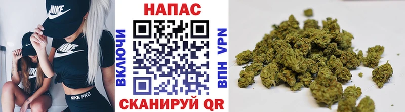 Бошки Шишки VHQ  Камбарка 